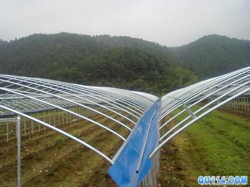 大棚鍍鋅管圖片